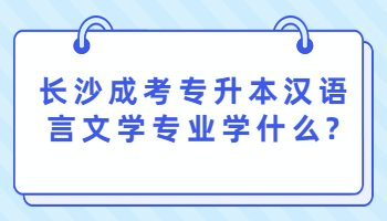 长沙成考专升本汉语言文学专业